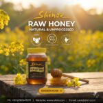 Shinoz_raw_honey__poster
